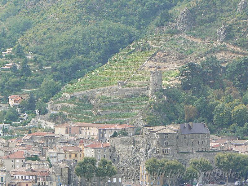 Tournon-sur-Rhône from the Hermitage vineyards P1140011.JPG